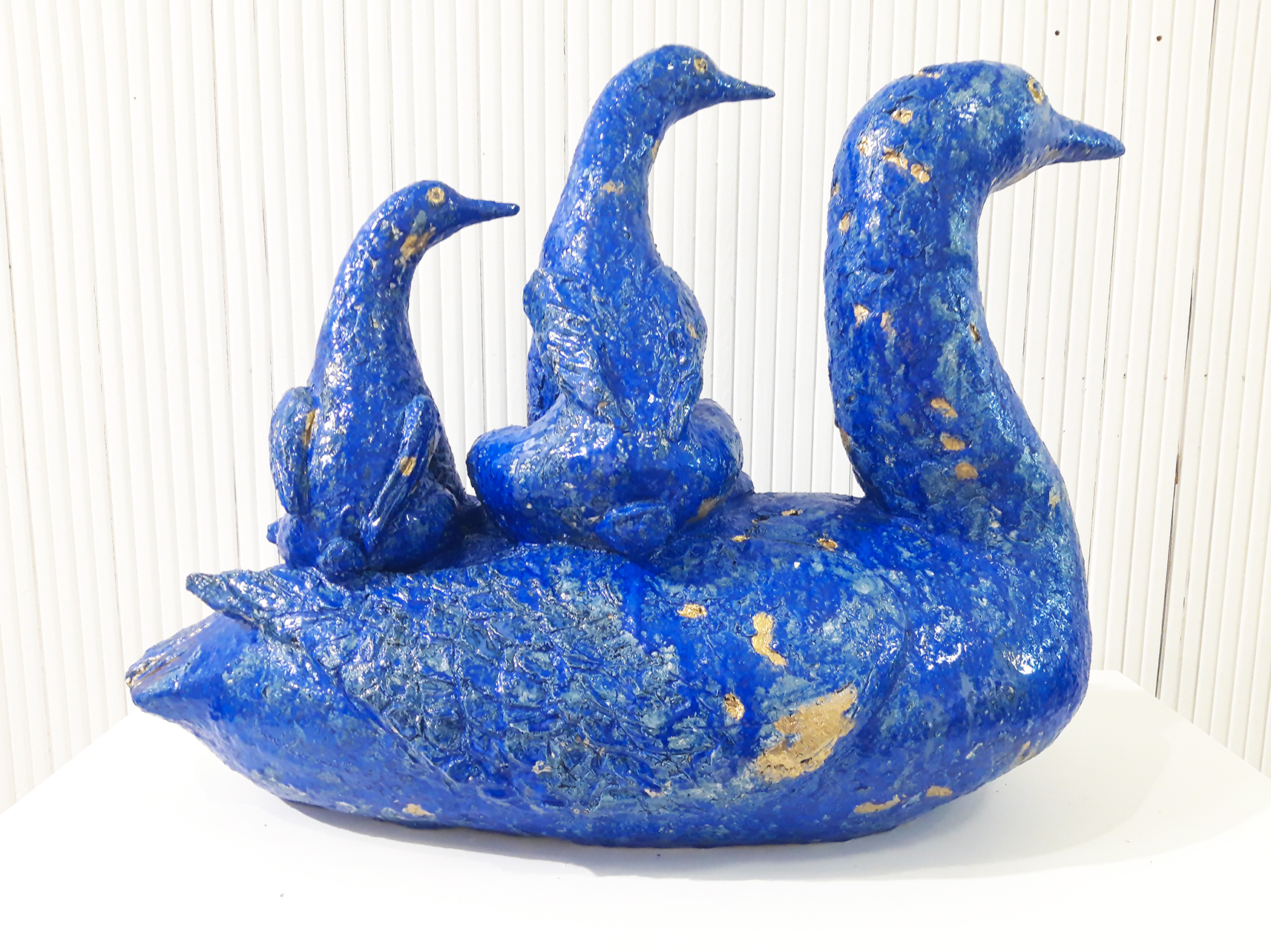 arctic loon 2